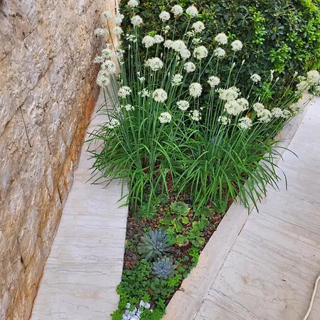 ヴィラ Jasmine With Swimming Pool *