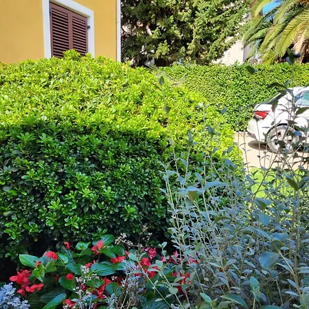 Vila Jasmine With Swimming Pool