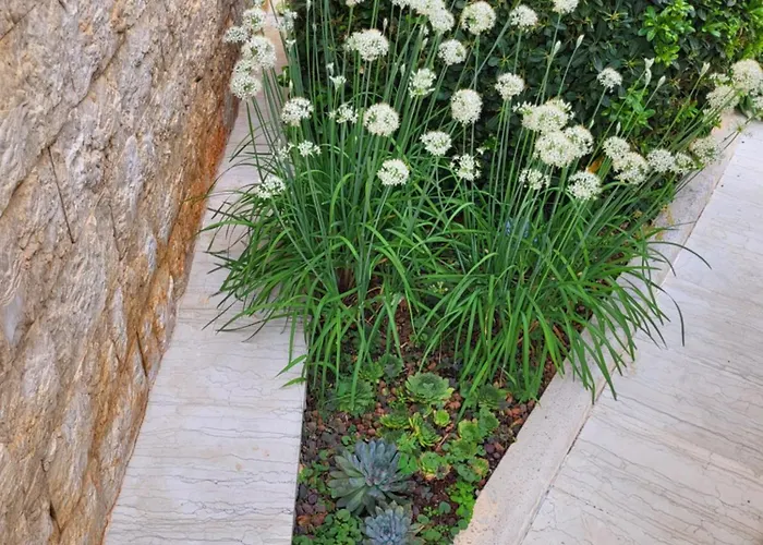 Villa Jasmine With Swimming Pool *