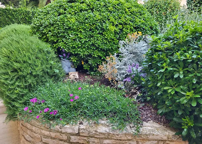 Jasmine With Swimming Pool Villa