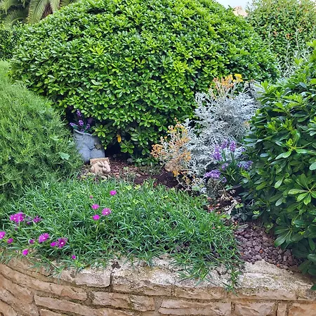 Jasmine With Swimming Pool Вилла